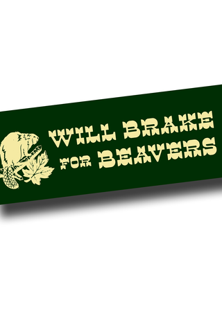 Close-up of the 'Will Brake For Beavers' bumper sticker on a white background, showing the dark green sticker with cream text and an illustrated beaver holding a maple leaf and gnawed log.