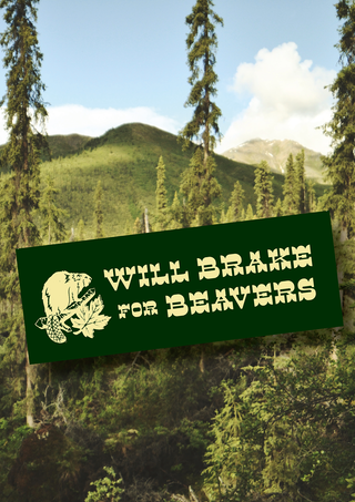 Will Brake For Beavers' bumper sticker in dark green with cream text and an illustrated beaver holding a maple leaf, shown propped at an angle against a mountain forest backdrop.